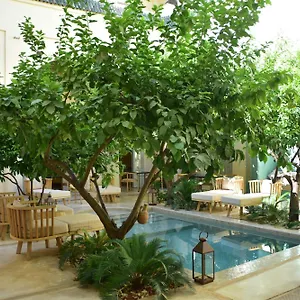 Gasthuis Emberiza Sahari Marrakesh